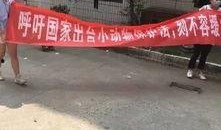 爱狗人士吃瓜群众,一场关于狗狗的争议风暴