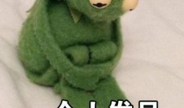 吃瓜蛙表情包,趣味横生的网络文化现象