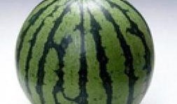 吃小瓜上火吗,吃小瓜真的会上火吗？揭秘夏日消暑食品的真相