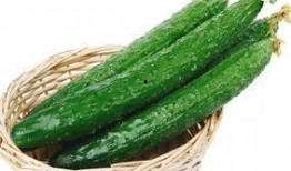 护手瓜怎样吃,探索美味与健康的完美结合