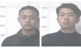 吃瓜吃进拘留所,拘留所里的“瓜农”警示录