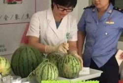 吃瓜直播群众进场,直播现场热闹非凡