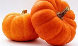 可可吃大瓜,可可与神秘大瓜的奇幻之旅