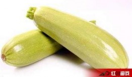 孕妇茭瓜怎么吃,孕妇茭瓜的多样食用方法与营养益处