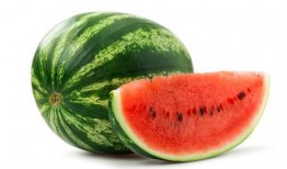 抹茶旦旦吃瓜图片,萌态十足，网友直呼可爱爆表！