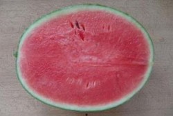 吃瓜做核酸,核酸检测中的温馨瞬间