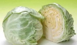 梁山嘉祥吃瓜,一场别开生面的“吃瓜”盛宴