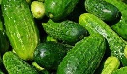 冰晶瓜菜怎么吃最好,冰晶瓜菜的多重美味食用指南