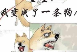 吃瓜逆子小说在线阅读