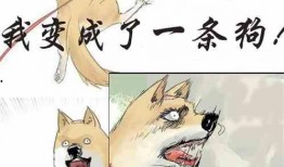 吃瓜逆子小说在线阅读