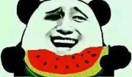 吃瓜不知,吃瓜群众背后的真相与秘密