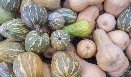 卖瓜的吃瓜女的叫什么