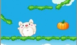 兔肥吃瓜,探寻兔子与西瓜的奇妙缘分