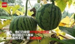 带你吃瓜男生寝室