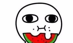 呆瓜卖家吃瓜图片