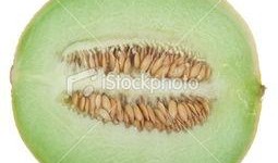 不知止吃瓜,揭秘网络热议背后的真相与反思