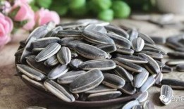 外国吃瓜嗑瓜子,嗑瓜子的跨国魅力