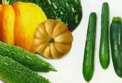 吃瓜小曲儿,揭秘娱乐圈那些不为人知的幕后故事