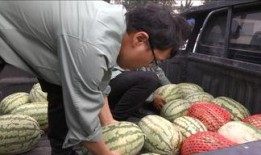 群众欢乐吃瓜视频,吃瓜视频里的欢乐时光