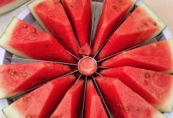 规则吃瓜,揭秘吃瓜群众的趣味人生