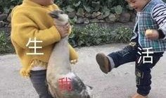 脚丫吃瓜表情包