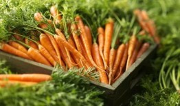 蔡萝吃瓜,揭秘娱乐圈幕后真相