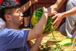 广西吃瓜大学,广西高校学子畅享夏日“吃瓜”盛宴