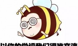 吃瓜宣言,揭秘娱乐圈背后的真相与笑料