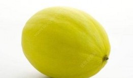 黄金蜜瓜宝宝可以吃,宝宝辅食新选择，营养美味两不误