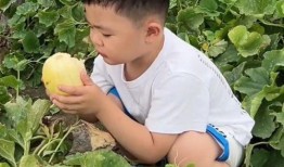 甜tian吃瓜,揭秘娱乐圈那些不为人知的幕后故事