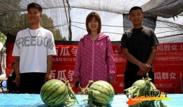 河北吃瓜比赛视频,一场视觉与味觉的双重盛宴