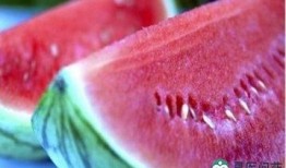 女孩肚子里吃瓜,女孩肚中瓜子的奇妙旅程