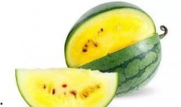 吃瓜图小型,揭秘吃瓜图背后的趣味与真相