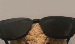 吃瓜小熊跳舞图片大全,萌态百出图片大全