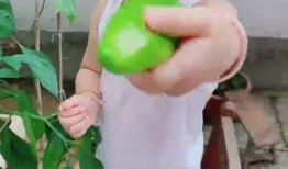 女孩肚子里吃瓜,女孩肚中瓜子的奇妙旅程