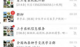 有无微信吃瓜群聊,社交新潮流，揭秘网络热议背后的故事