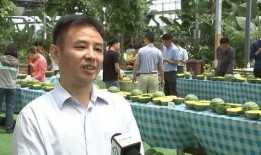 田斌与五步蛇吃瓜,一场惊心动魄的吃瓜奇遇