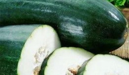 苏食院吃瓜,揭秘校园美食圈的那些事儿