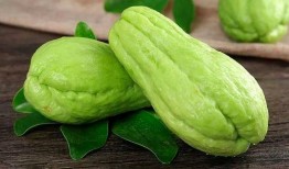 青枝吃瓜,夏日消暑美食之旅