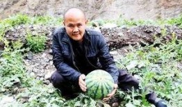 重庆吃瓜陈某某,揭秘网络红人的崛起与争议