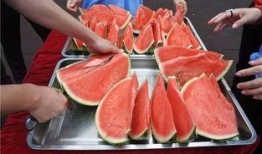 北辰免费吃瓜,畅享夏日清凉盛宴