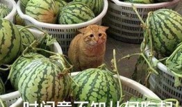 吃瓜网爆门,揭秘背后真相与影响