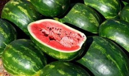 苏食院吃瓜,揭秘校园美食圈的那些事儿