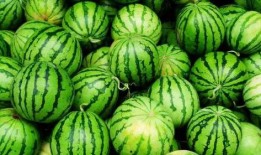 吃瓜网爆门,揭秘背后真相与影响