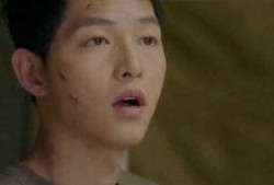 太阳毒吃瓜视频