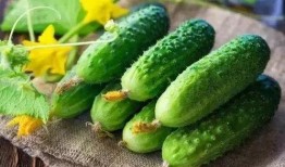 吃瓜营养,夏日消暑美食的健康秘密