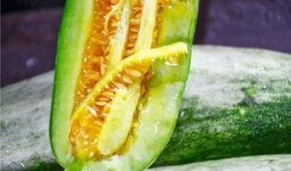 网红娱乐吃瓜,吃瓜群众的热议焦点