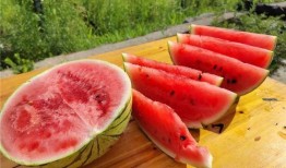 谁吃的瓜熟,谁吃的瓜熟，谁得甜果