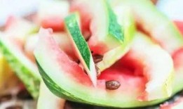 吃勺瓜中毒,揭秘神秘瓜果背后的健康隐患