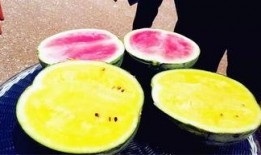 可可吃大瓜,可可与神秘大瓜的奇幻之旅